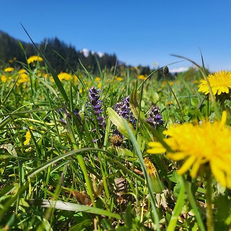 Sachserhof Ferienwohnungen In Sachsenburg Esterno foto