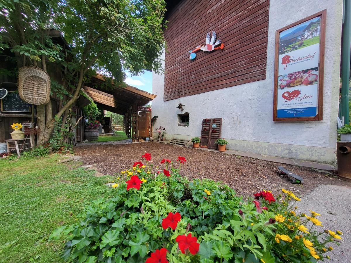 Sachserhof Ferienwohnungen In Sachsenburg Esterno foto