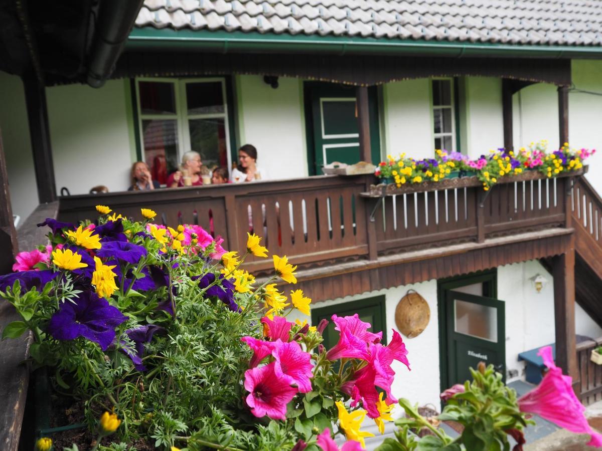 Sachserhof Ferienwohnungen In Sachsenburg Esterno foto